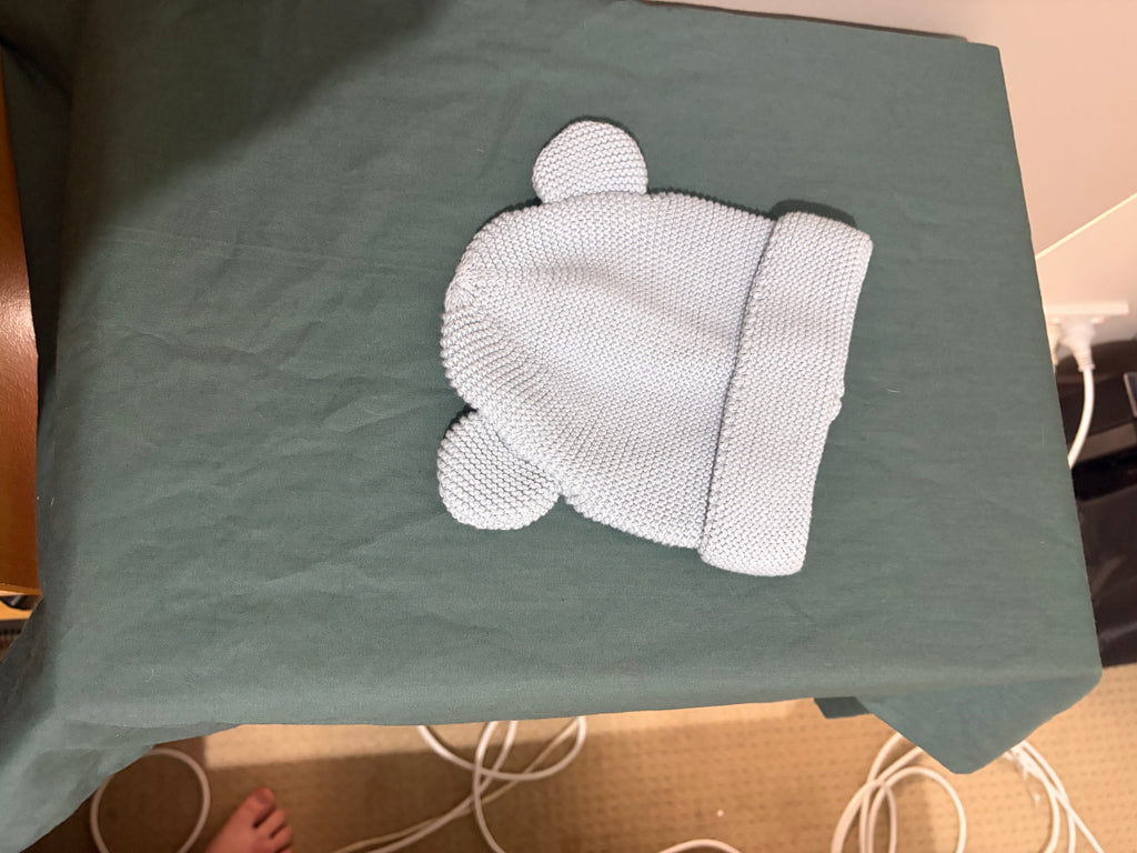 Bear Beanie